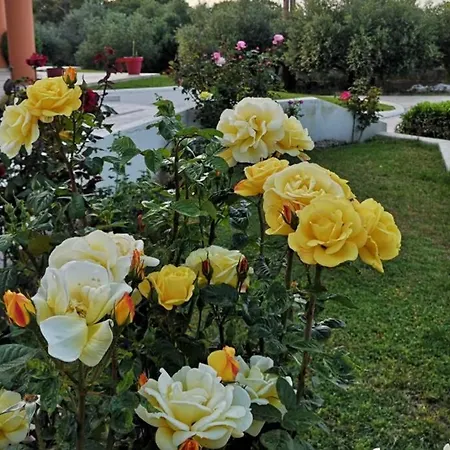 Fiore Di Rodi - Private Pool, Jacuzzi And Barbecue 아파트 이알리소스