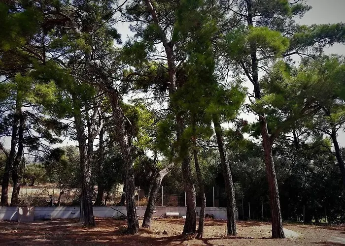 Fiore Di Rodi - Private Pool, Jacuzzi And Barbecue 아파트