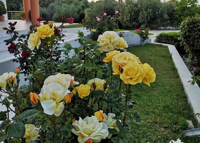 Fiore Di Rodi - Private Pool, Jacuzzi And Barbecue 아파트 이알리소스