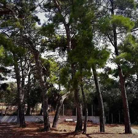 Fiore Di Rodi - Private Pool, Jacuzzi And Barbecue Apartment